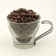 コロンビア カウカ トトロ　アルタ・ミラ農園 カスティージョ